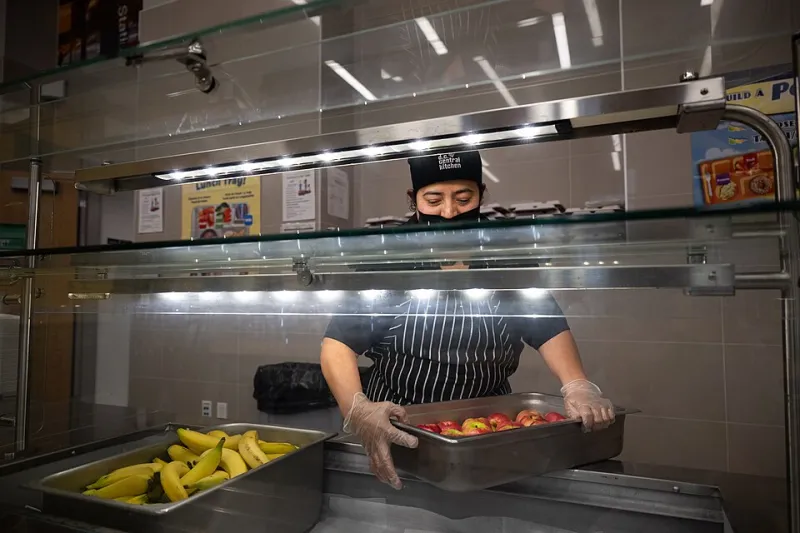 De la ferme à l'assiette scolaire : quand les cantines deviennent vectrices de renouveau local