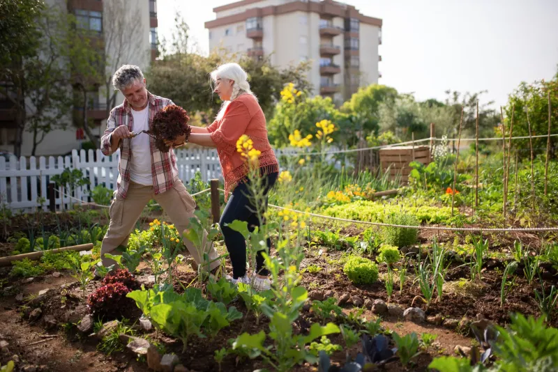 Quand la terre partagée devient ciment social : l'essor des jardins collectifs en milieu urbain